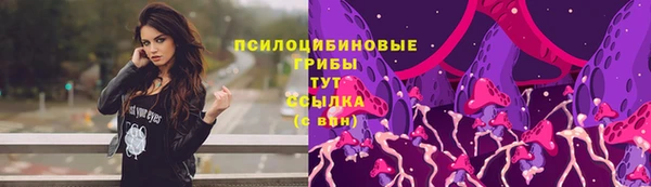 кокс Арсеньев
