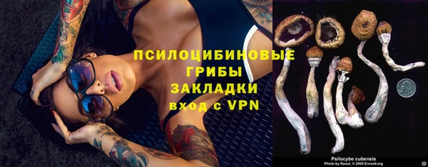 тгк Аркадак